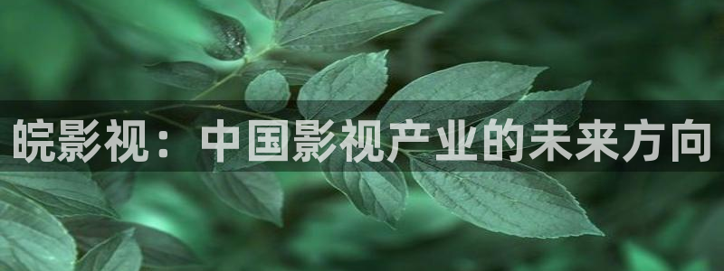 蓝莓在线观看免费播放电视剧：皖影视：中国影视产业的未来方向