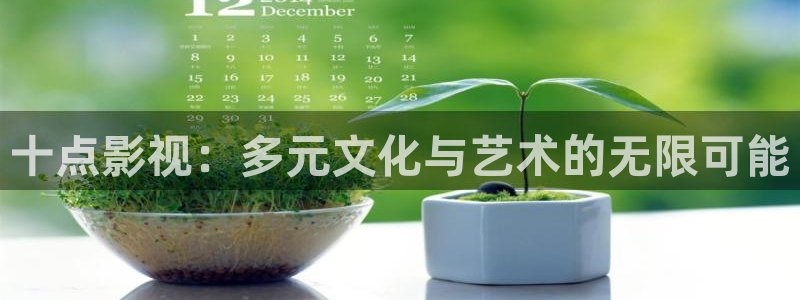 www.蓝莓视频：十点影视：多元文化与艺术的无限可能