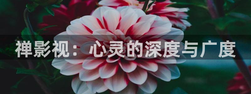 蓝莓视频在线观看入口：禅影视：心灵的深度与广度