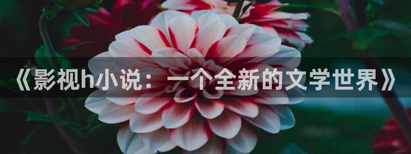 蓝莓视频网站：《影视h小说：一个全新的文学世界》