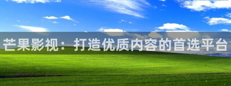 蓝莓影视：芒果影视：打造优质内容的首选平台