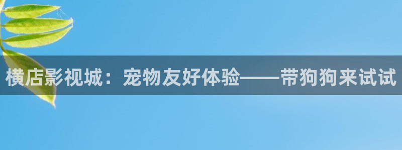 免费观看电影蓝莓：横店影视城：宠物友好体验——带狗狗来试试
