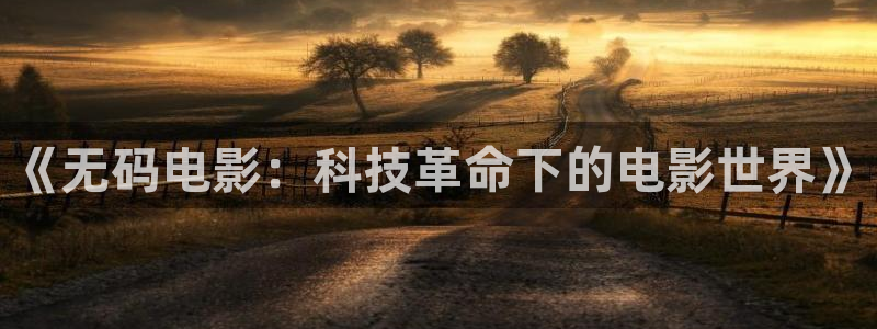 蓝莓影视：《无码电影：科技革命下的电影世界》